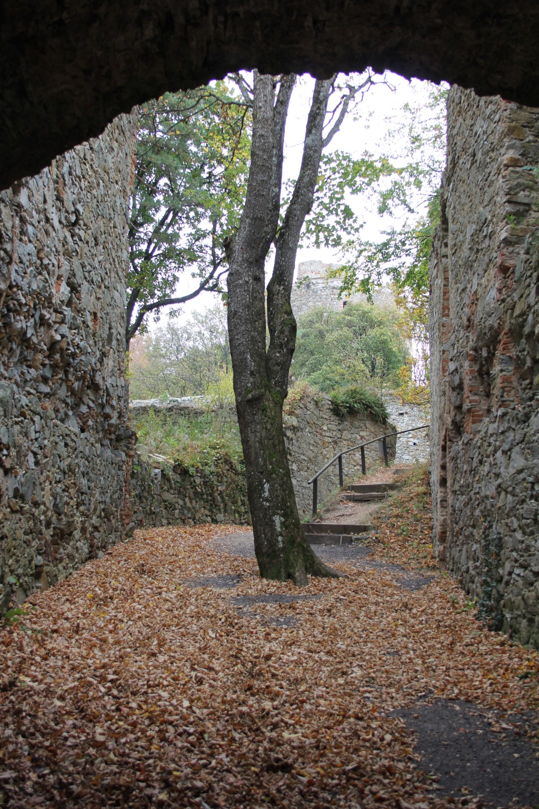 2018-10-21 Herbstausfahrt